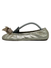 Isabel Marant Rilla Ballerina EU 37 Metallic - Image 1